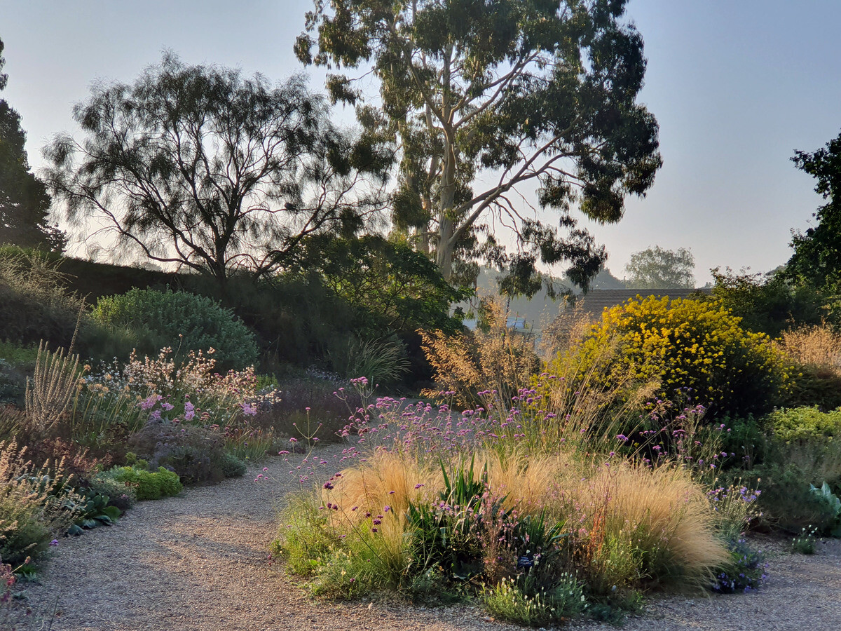 Ornamental Grasses for Autumnal Interest