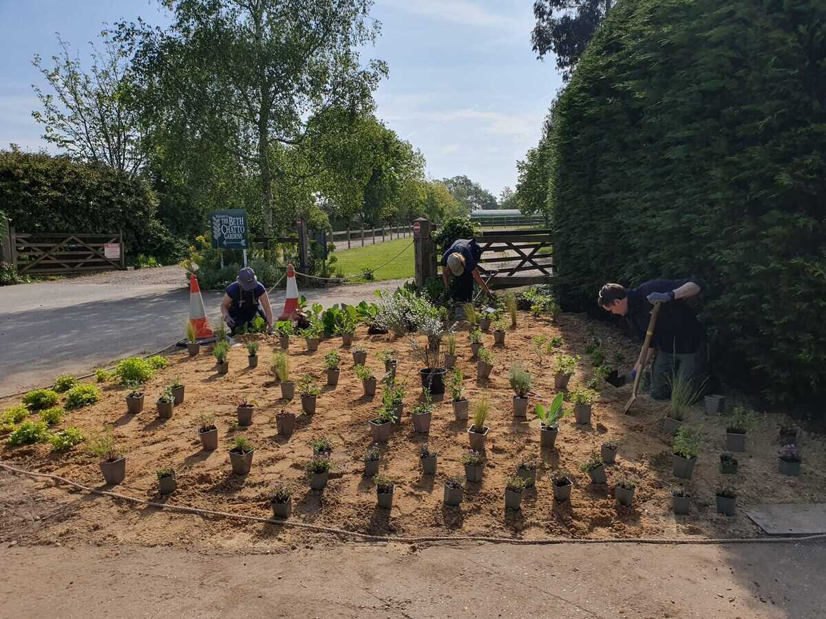 New area of drought-tolerant planting 